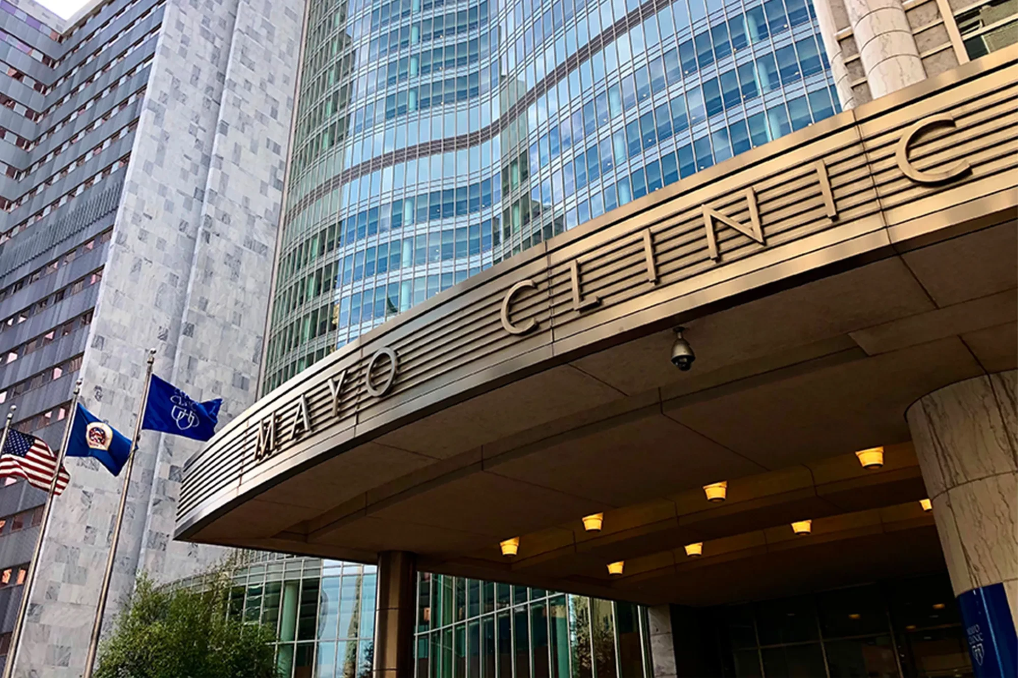 THẨM MỸ VIỆN MAYO CLINIC 4