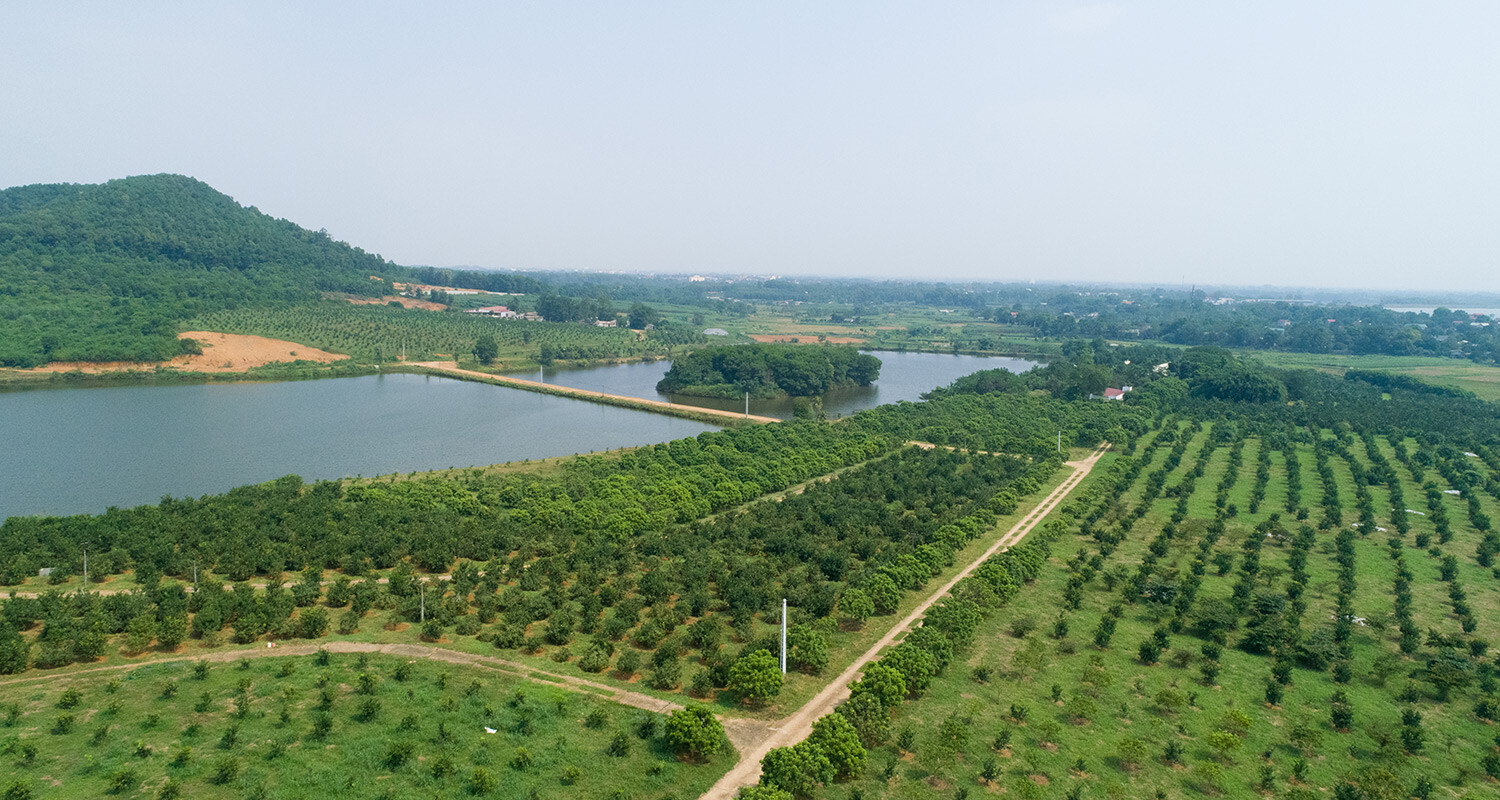 Tập Đoàn Minh Anh - MIAN GROUP 1