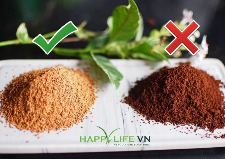 TMDV Truyền Thông Happy Life 8