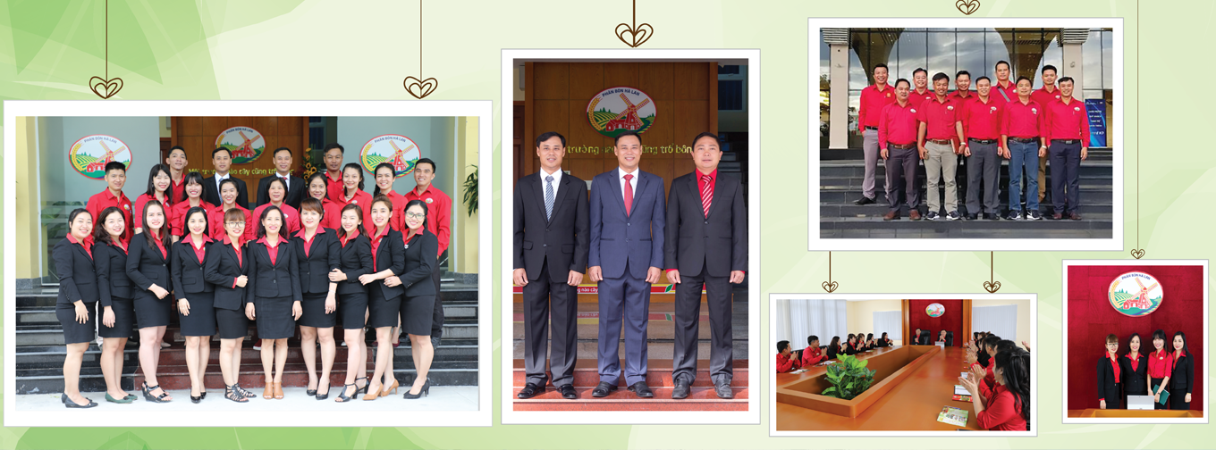 PHÂN BÓN HÀ LAN 4