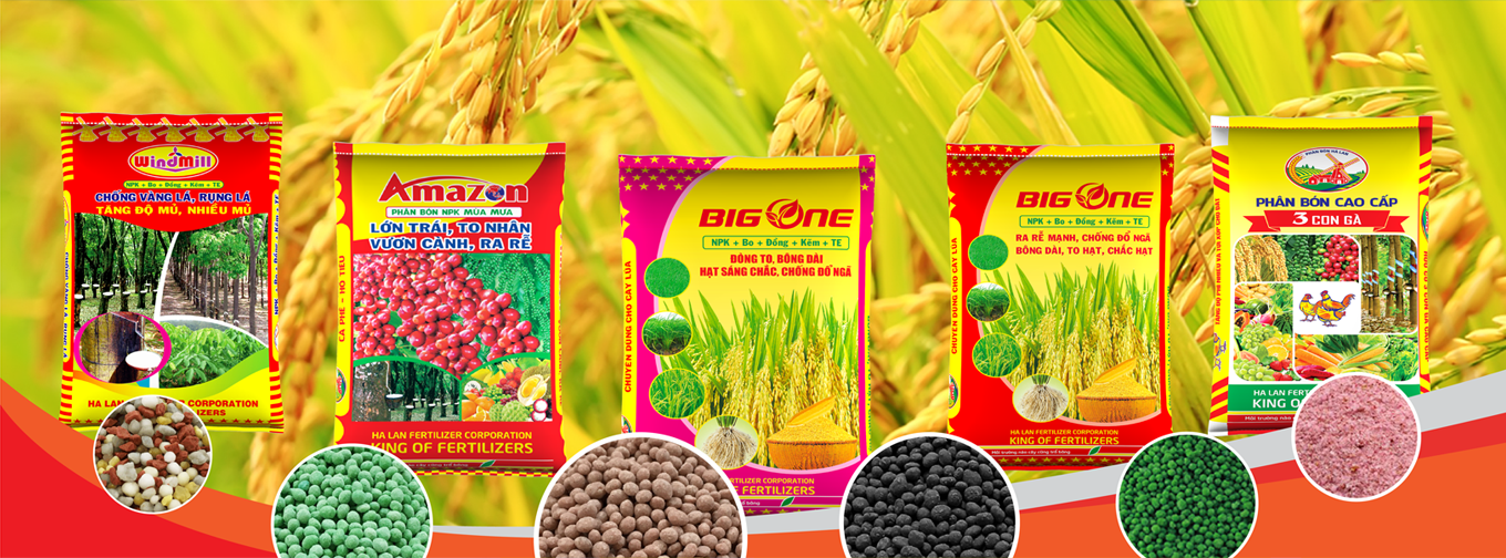 PHÂN BÓN HÀ LAN 6