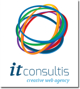 IT Consultis 2