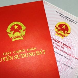 Thương mại và Dịch vụ Công nghệ Trí Việt 1