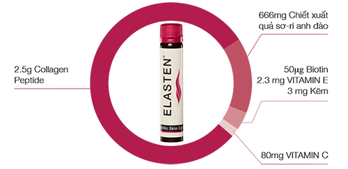 ELASTEN VIỆT NAM 3