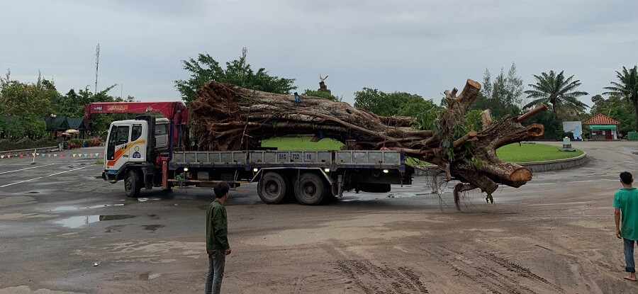 Thế Giới Cảnh Quan Xanh 3