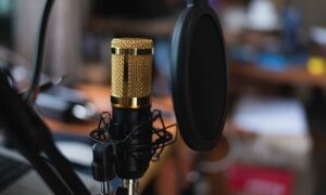 THƯƠNG MẠI TRUYỀN THÔNG V MEDIA 7