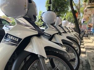 BigTown Việt Nam 2