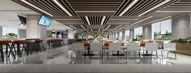 Inst Magnetic New Materials 1