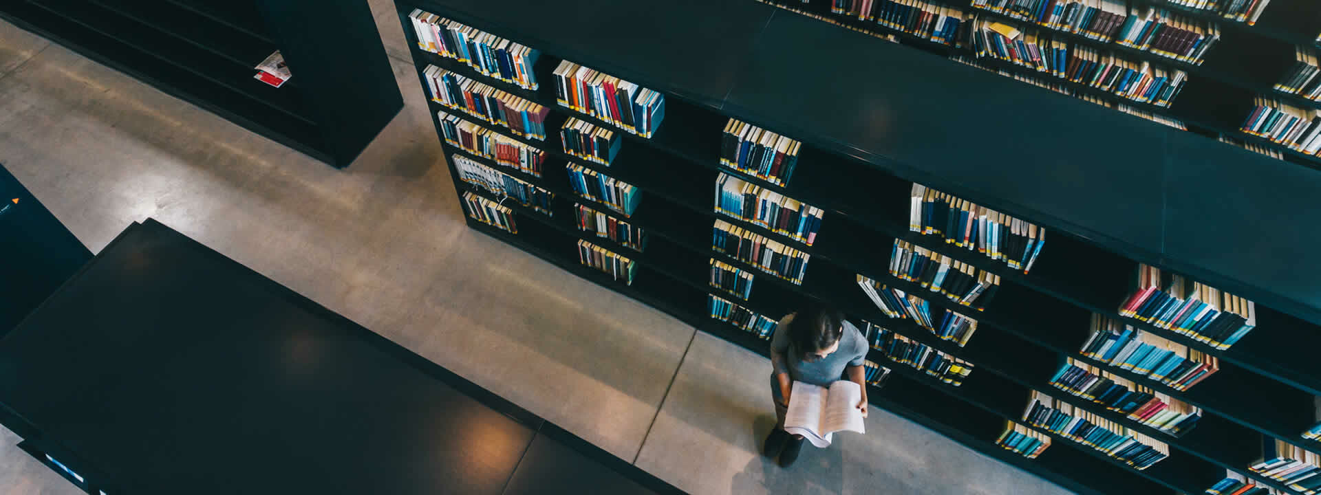 Tư Vấn Giáo dục Nordic Edu 5