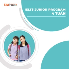 SIMPACE VIỆT NAM 12