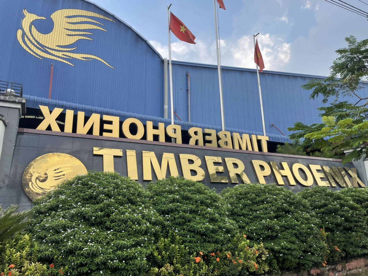 Timber Phoenix 2