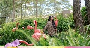 Công Ty Cổ Phần Phát Triển Nông Nghiệp Thành Thành Công 7