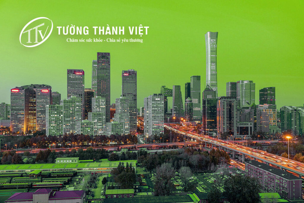 TƯỜNG THÀNH VIỆT 5