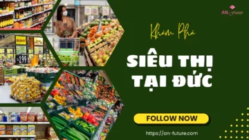 CÔNG TY CỔ PHẦN TƯ VẤN DU HỌC AN FUTURE 2