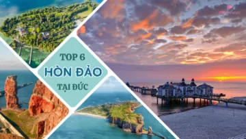 CÔNG TY CỔ PHẦN TƯ VẤN DU HỌC AN FUTURE 4