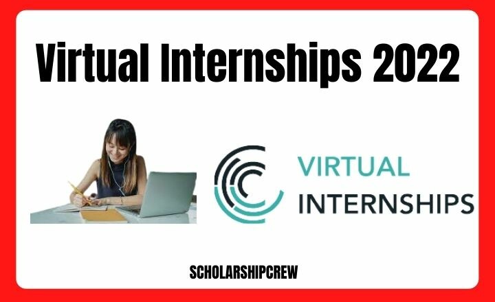 Virtual Internships 6