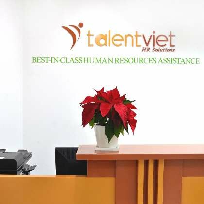 TalentViet HR Solutions 8