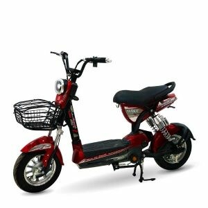 Xe Điện Bluera Việt Nhật 2