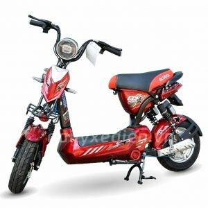 Xe Điện Bluera Việt Nhật 3