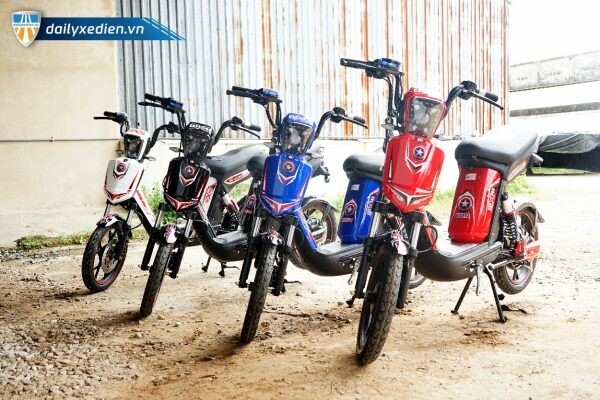 Xe Điện Bluera Việt Nhật 8