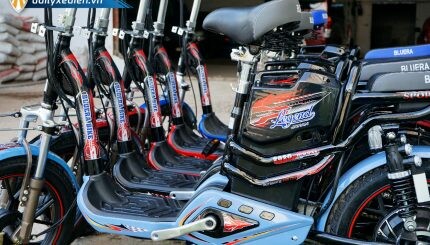 Xe Điện Bluera Việt Nhật 7