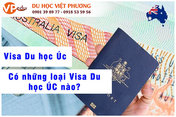 Công Ty TNHH Tư Vấn Du Học Việt Phương 7