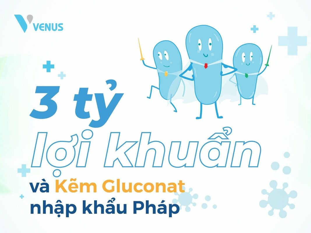 VENUS Việt Nam 2