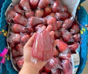 Công ty Trái Cây Thủy 帝 6