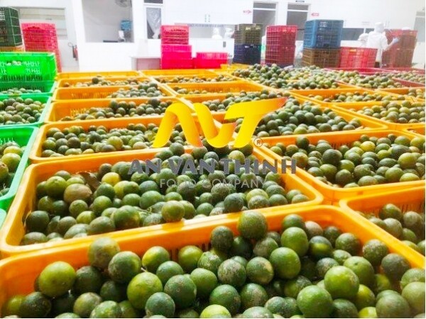 Thực Phẩm An Vạn Thịnh 1