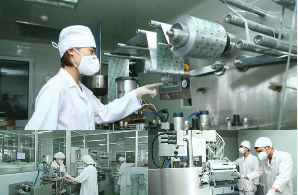 DƯỢC QUỐC TẾ VIỆT SINH 6