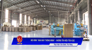 CÔNG TY TRẦN THÀNH 3