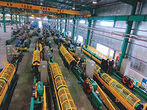 Công Ty TNHH Chrysanthemum Việt Nam 2