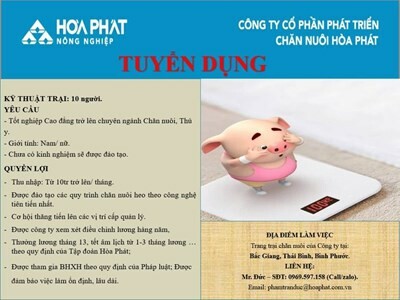 Phát triển Chăn nuôi Hòa Phát 4