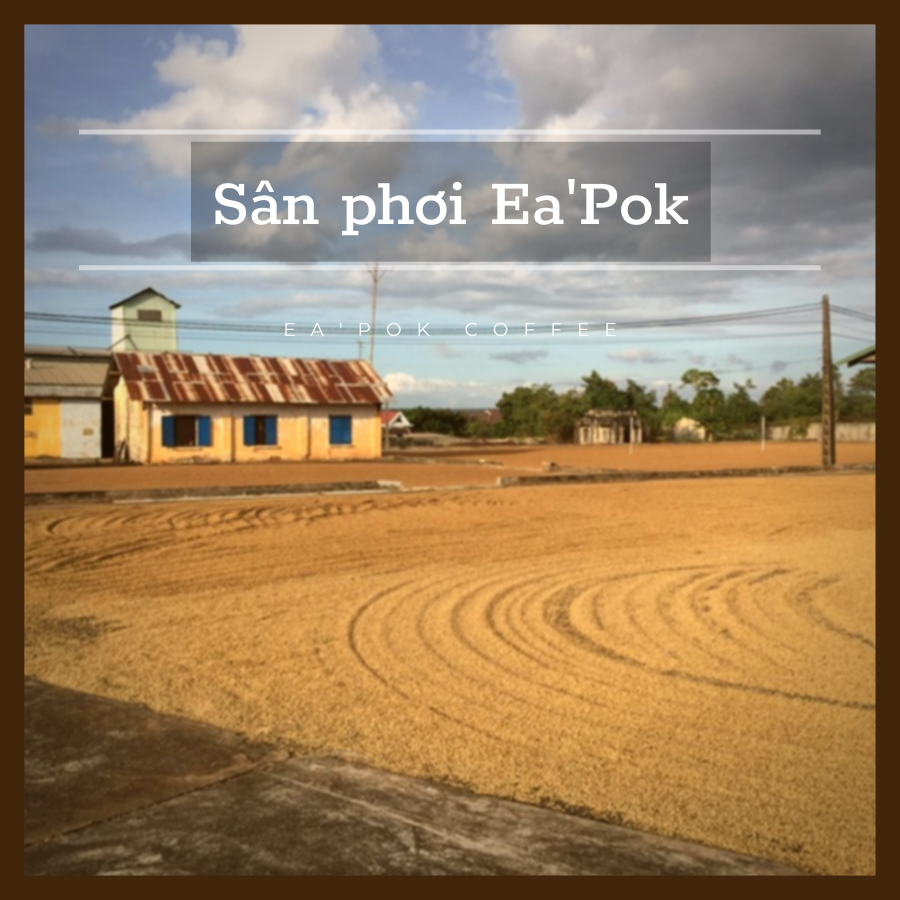 Cà Phê Ea Pốk 5