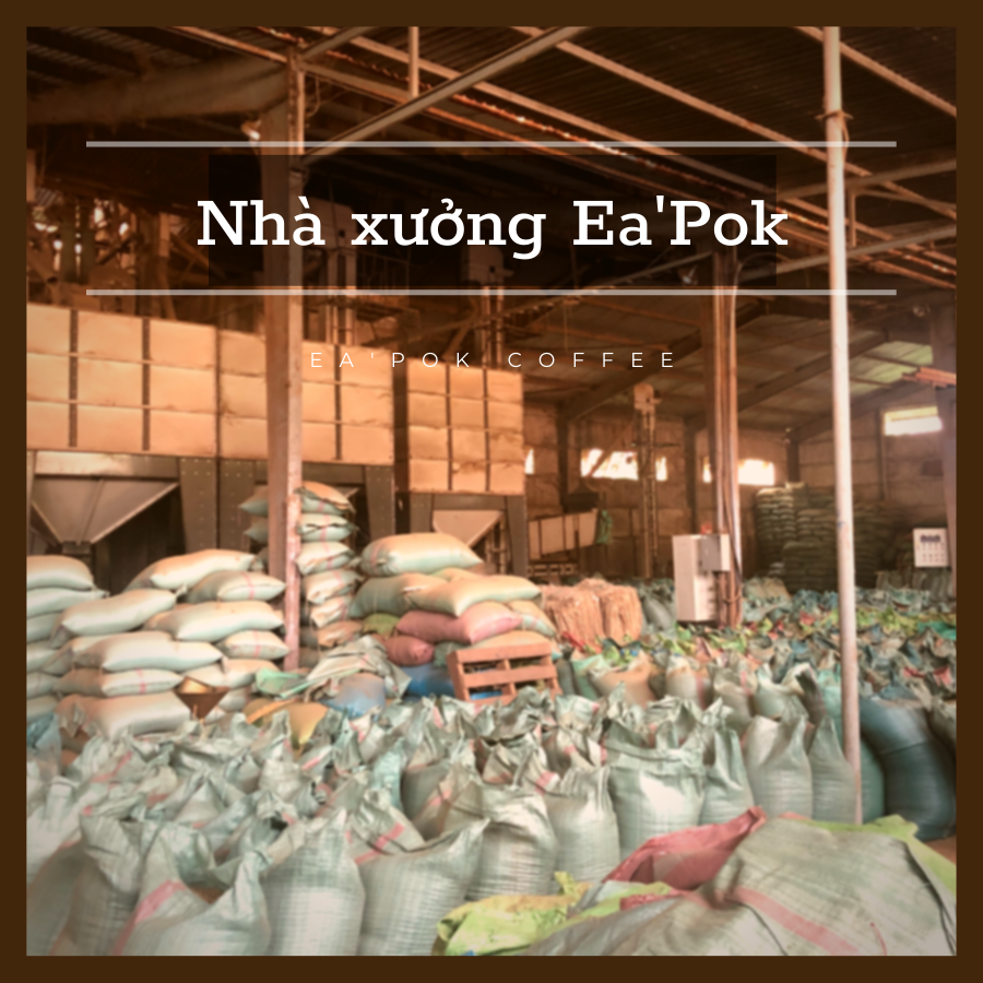 Cà Phê Ea Pốk 3