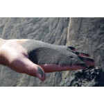 Công ty TNHH MTV GPM Bình Thuận 3