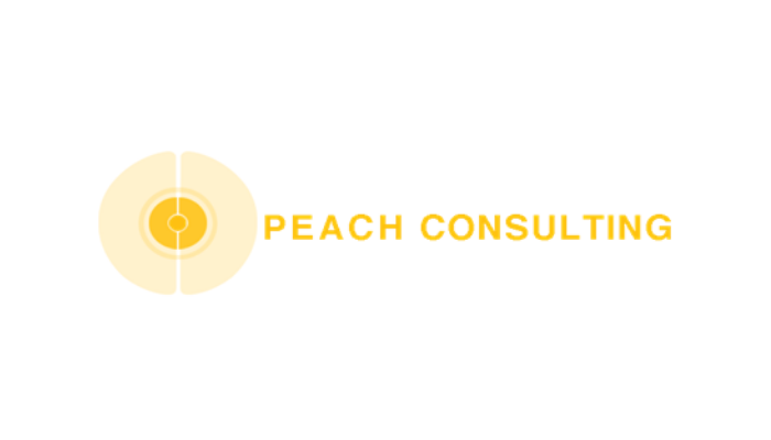 PEACH Consulting 6