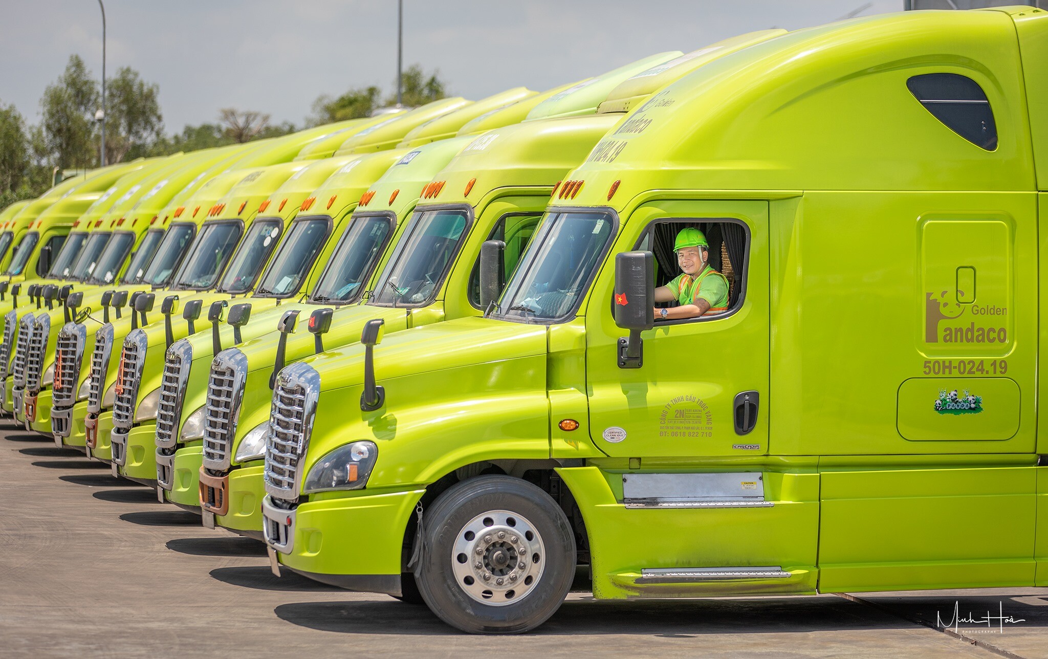 Gấu Trúc Việt 6