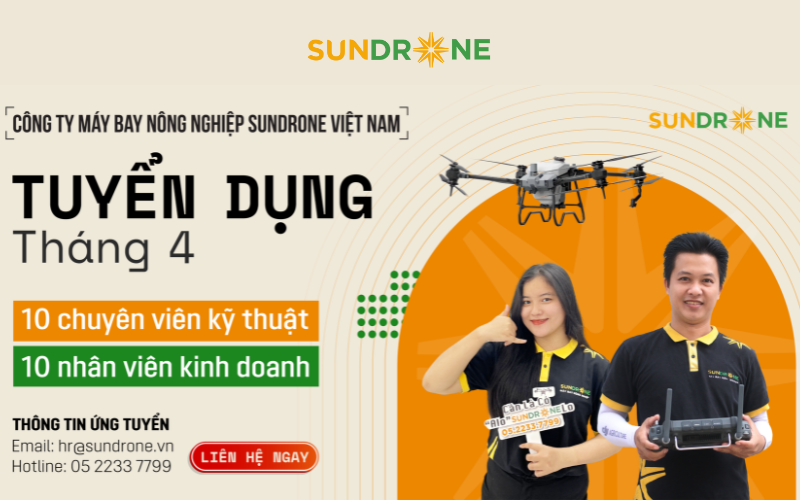 Sundrone Việt Nam 6