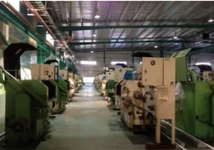 Công Ty TNHH Chrysanthemum Việt Nam 4