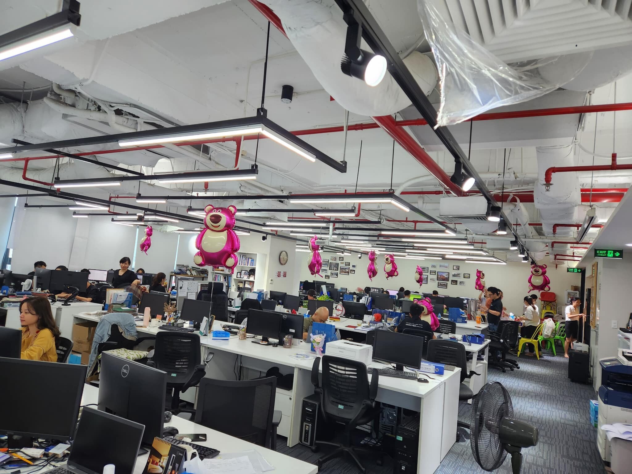 Frontier Consulting Việt Nam 1