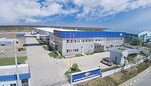 Công Ty TNHH Chrysanthemum Việt Nam 9