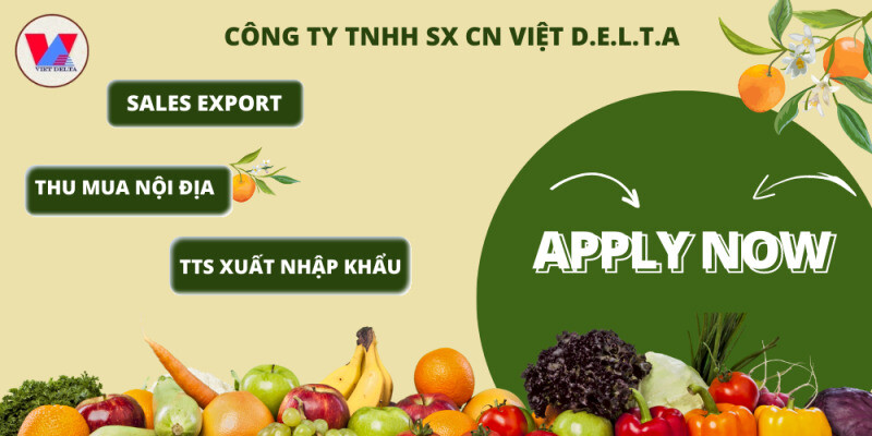 Sản xuất Công nghiệp Việt D.E.L.T.A 2