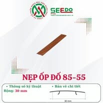 Nhựa Mai Anh Quân DNA 10