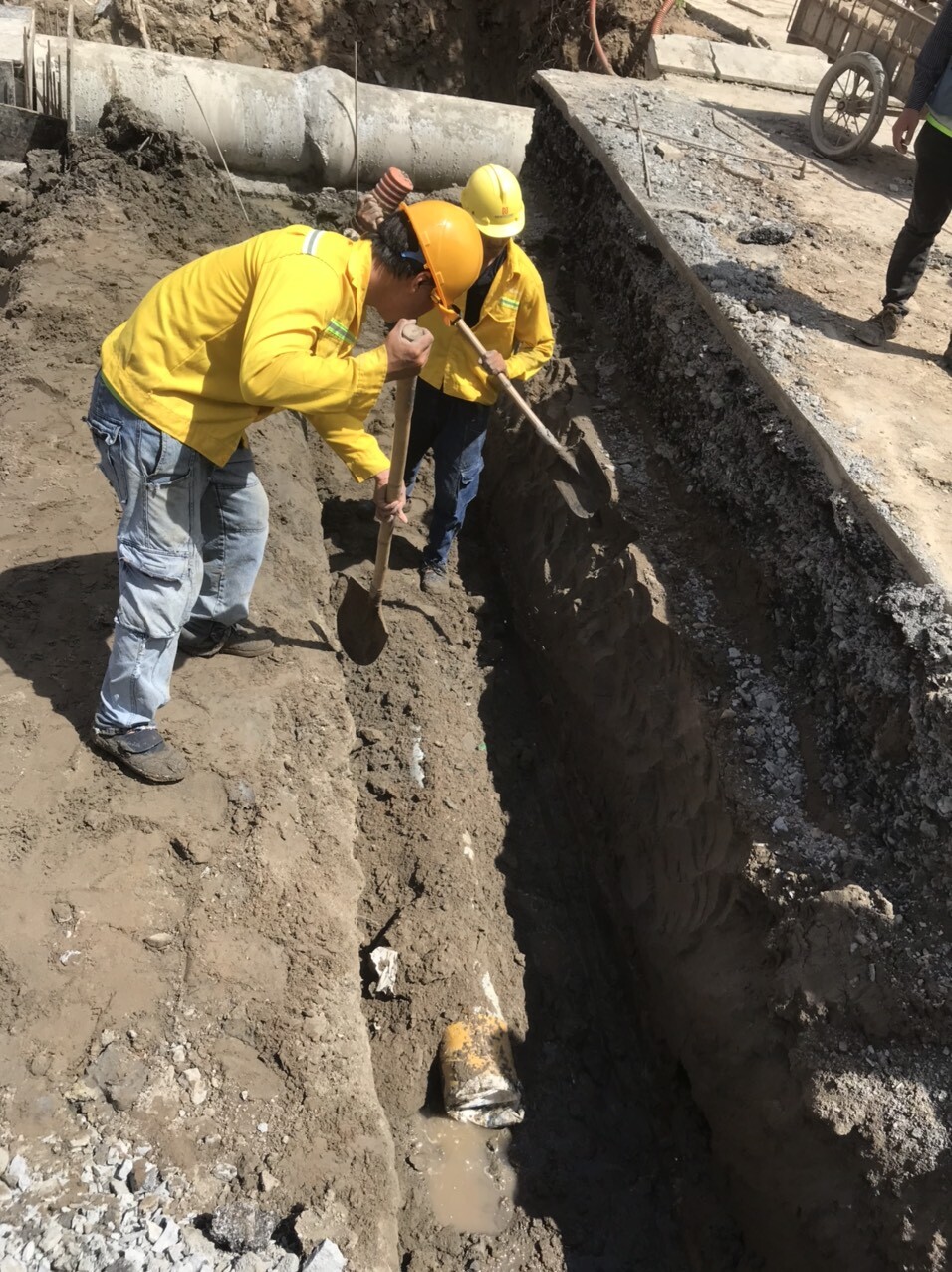 Điện Xuân Bách 1