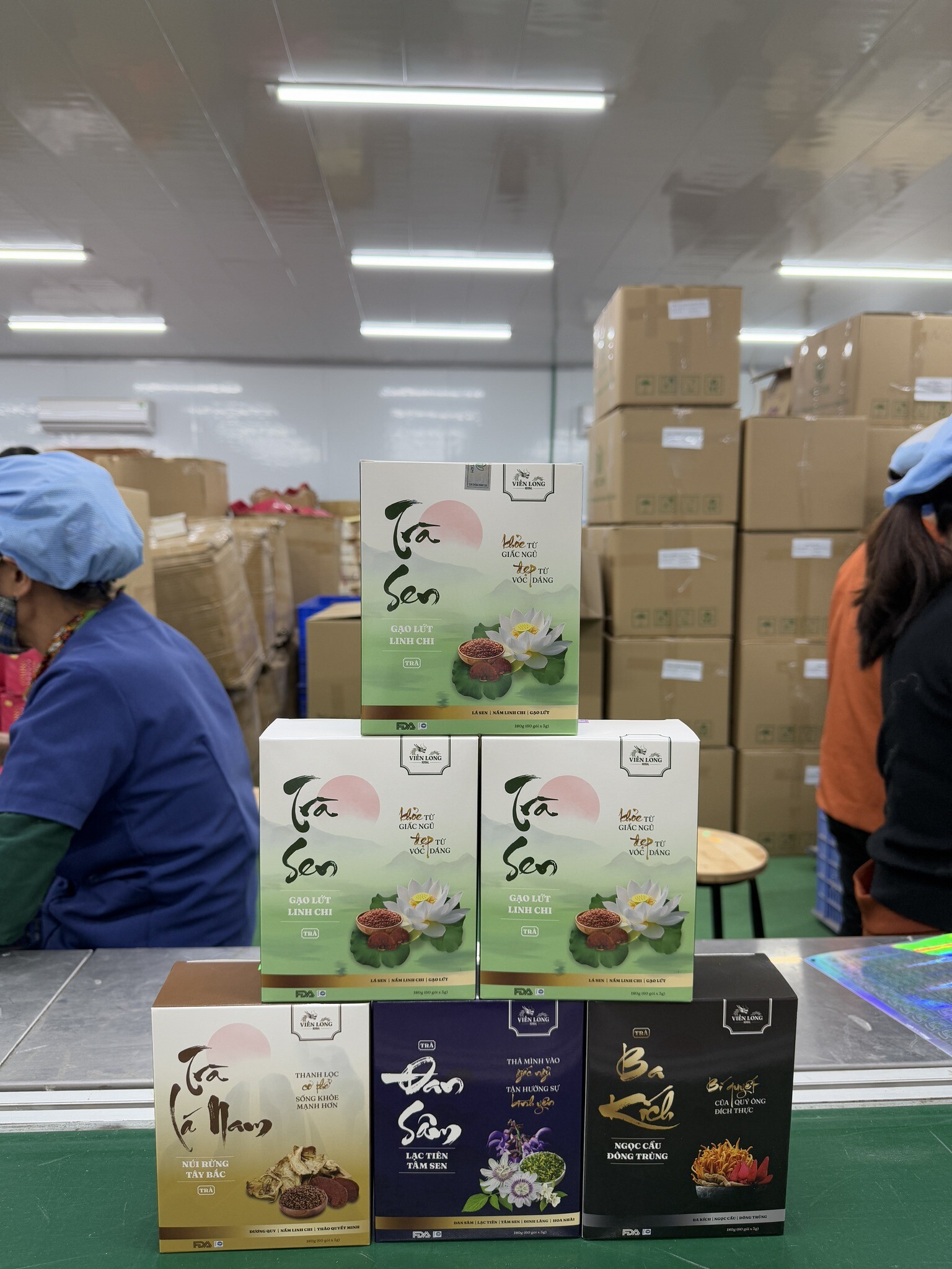 Wellness Lifestyle 7