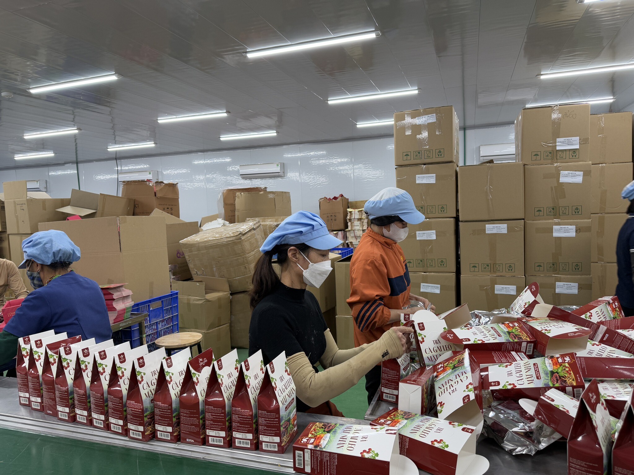 Wellness Lifestyle 8