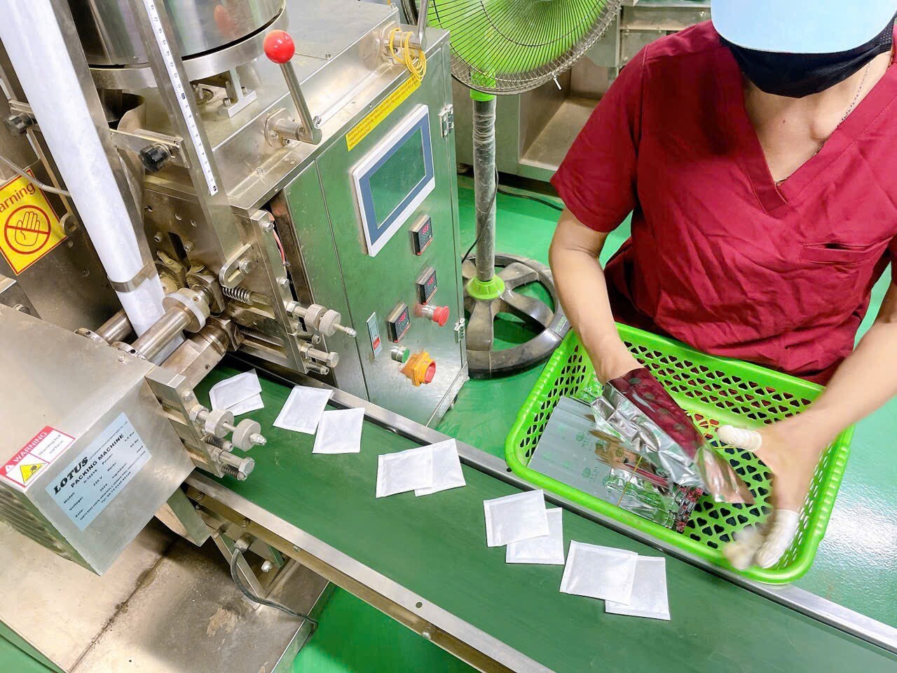 Wellness Lifestyle 6