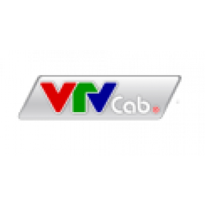 Viễn Thông Trí Việt 5