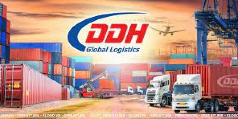 Ddh Viet Nam Global Logistics 6